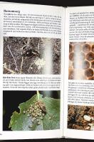 FANTASTISKA INSEKTER &ndash; Inblick i en sp&auml;nnande och egendomlig v&auml;rld