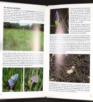 FANTASTISKA INSEKTER &ndash; Inblick i en sp&auml;nnande och egendomlig v&auml;rld