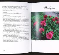 PR&Auml;STG&Aring;RDENS TR&Auml;DG&Aring;RD &ndash; Ett bortgl&ouml;mt kulturarv