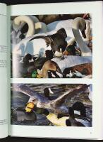 B&Ouml;RJA SK&Aring;DA F&Aring;GEL