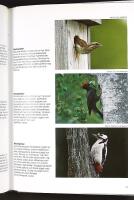 B&Ouml;RJA SK&Aring;DA F&Aring;GEL