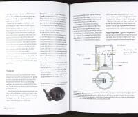 TR&Auml;DG&Aring;RDENS VATTEN