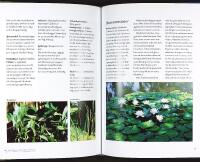 TR&Auml;DG&Aring;RDENS VATTEN