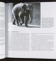 ATT BEVARA GAMMAL TID FÖR ATT GE FRAMTIDEN EN VÄN – Flytten till Malmö kulturförvaltnings nya centralmagasin