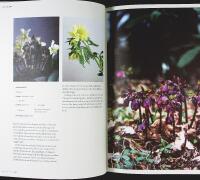 EN ANNAN SLAGS TRÄDGÅRD – Månadsflor, slow flowers och skönheten i  varje årstid