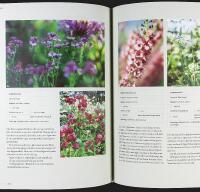 EN ANNAN SLAGS TRÄDGÅRD – Månadsflor, slow flowers och skönheten i  varje årstid