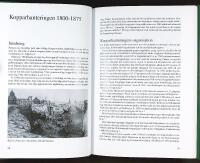 STORA KOPPARBERGS BERGSLAG 1800–1875 – En studie över den förindustriella epoken