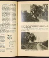 VÄGSIGNALER OCH ANDRA SÄKERHETSANORDNINGAR vid korsningar i plan mellan järnväg och väg