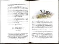 FRÅN ALFÅGEL TILL ÄRTSÅNGARE – En bok om svenska fåglar