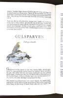 FRÅN ALFÅGEL TILL ÄRTSÅNGARE – En bok om svenska fåglar