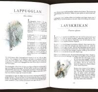 FRÅN ALFÅGEL TILL ÄRTSÅNGARE – En bok om svenska fåglar