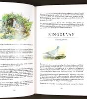 FRÅN ALFÅGEL TILL ÄRTSÅNGARE – En bok om svenska fåglar