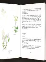 V&Auml;XTF&Auml;RGA &ndash; 100 recept p&aring; v&auml;xtf&auml;rgning