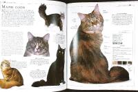 Bonniers stora KATTLEXIKON