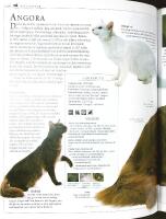 Bonniers stora KATTLEXIKON