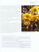 The Genus MECONOPSIS &ndash; Blue Poppies and their Relatives
