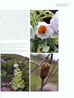 The Genus MECONOPSIS &ndash; Blue Poppies and their Relatives