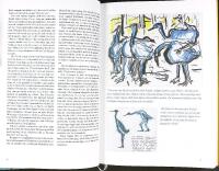 NILS HOLGERSSONS UNDERBARA RESA &ndash; Ett bild&auml;ventyr med Bengt Olson