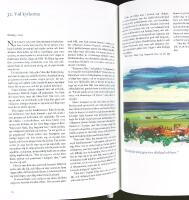 NILS HOLGERSSONS UNDERBARA RESA &ndash; Ett bild&auml;ventyr med Bengt Olson