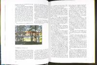 NILS HOLGERSSONS UNDERBARA RESA &ndash; Ett bild&auml;ventyr med Bengt Olson