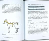 HÄSTEN –– Beteende • Utfodring • Fysiologi • Anatomi