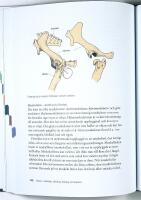 HÄSTEN –– Beteende • Utfodring • Fysiologi • Anatomi