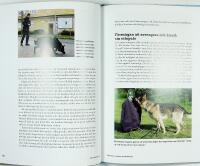 DIN HUNDS BETEENDE – i vardag och träning