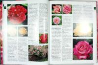 Botanica ROSOR – Encyklopedi över trädgårds- och vildrosor