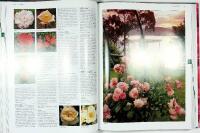 Botanica ROSOR – Encyklopedi över trädgårds- och vildrosor