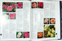 Botanica ROSOR – Encyklopedi över trädgårds- och vildrosor
