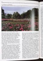 A Celebration of OLD ROSES