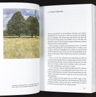 LONDON BORTOM LONDON – En vandring mellan storstadens byar