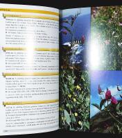 FLORA of the AZORES – A Field Guide