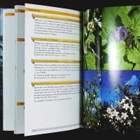 FLORA of the AZORES – A Field Guide