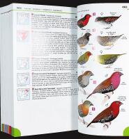 Newman's BIRDS of SOUTHERN AFRICA