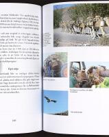 FUERTEVENTURA &ndash;&nbsp;&Ouml;verraskningarnas &ouml;