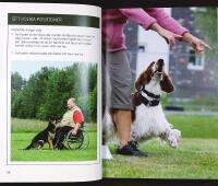 Nya HUNDra % RALLYLYDNAD