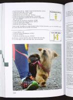 Nya HUNDra % RALLYLYDNAD