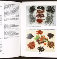 TORKNING av b&auml;r, frukt, gr&ouml;nsaker, svamp och &ouml;rter