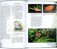 Back to Nature &ndash; AKVARIEGUIDE