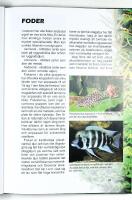 Back to Nature &ndash; AKVARIEGUIDE