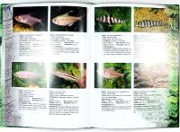 Back to Nature &ndash; AKVARIEGUIDE