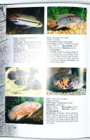 Back to Nature &ndash; AKVARIEGUIDE