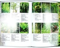 Back to Nature &ndash; AKVARIEGUIDE