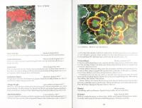 PELARGONER &ndash; Kulturarv i kruka