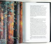 ELDA MED VED &ndash; Den kompletta handboken f&ouml;r en perfekt brasa