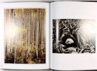 THE POLAROID BOOK &ndash; Selections from the Polaroid Collections of photography