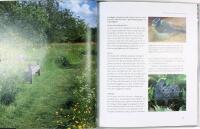 PLANERA DIN TR&Auml;DG&Aring;RD &ndash; anl&auml;ggning och v&auml;xtval