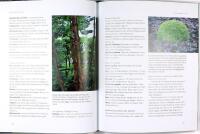 PLANERA DIN TR&Auml;DG&Aring;RD &ndash; anl&auml;ggning och v&auml;xtval