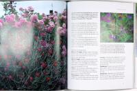 PLANERA DIN TR&Auml;DG&Aring;RD &ndash; anl&auml;ggning och v&auml;xtval